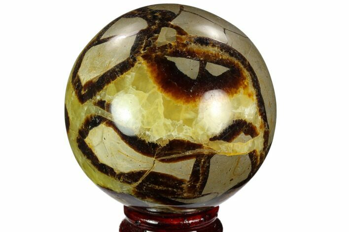 Polished Septarian Sphere - Madagascar #122923